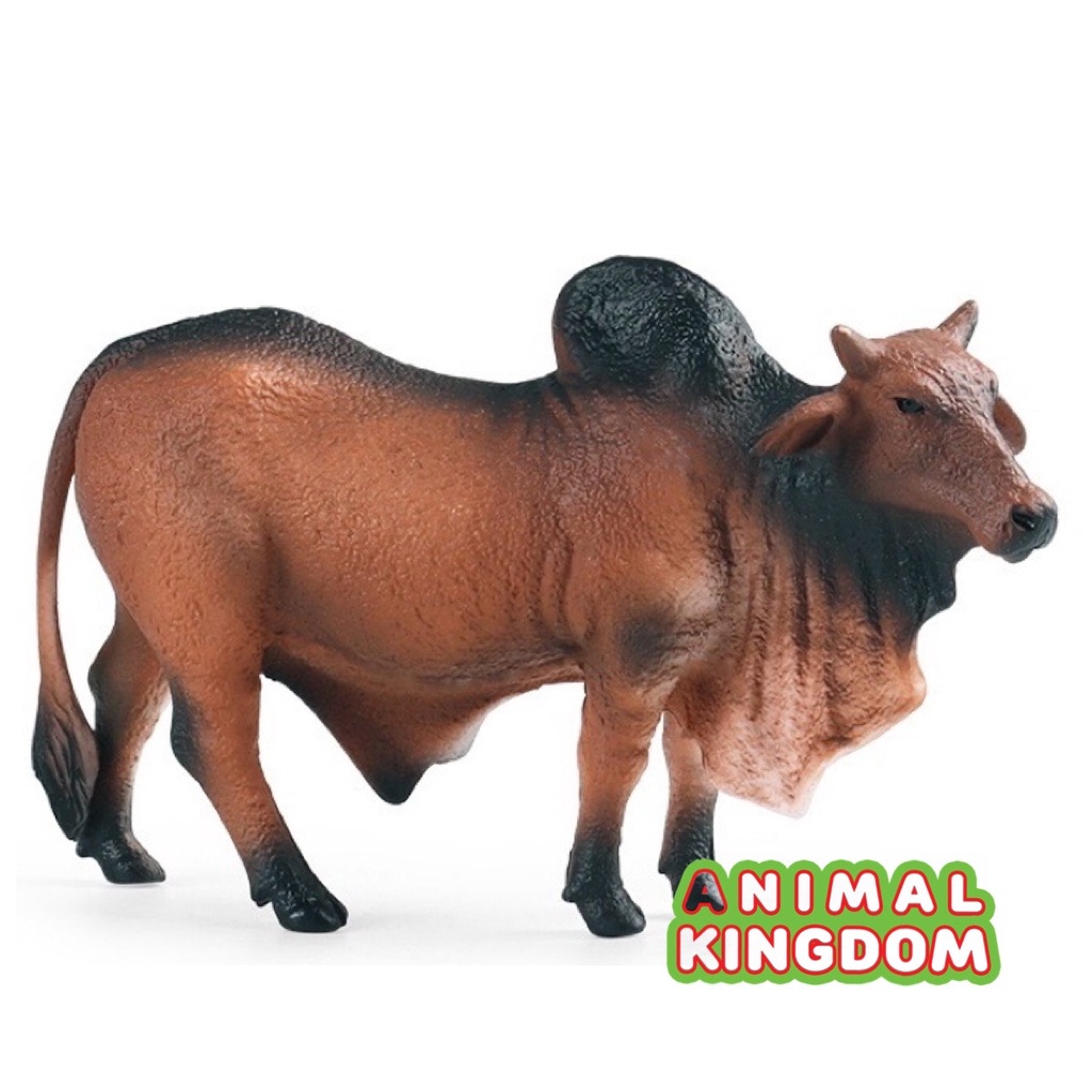 animal-kingdom-โมเดลสัตว์-วัวบราห์มัน-แดง-ขนาด-13-00-cm-จากหาดใหญ่