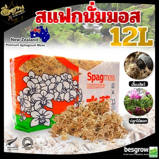 Spagmoss สแฟกนั่มมอส 12L ,besgrow,สแปกนั่มมอส, บรรจุ 12L./150กรัม วัสดุปลูกคุณภาพสูง นำเข้าจากนิวซีแลนด์