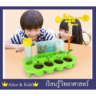 👑Alice&amp;kids👑 DIY ชุดทดลองวิทยาศาสตร์ Stem Weather Station ปลูกต้นไม้