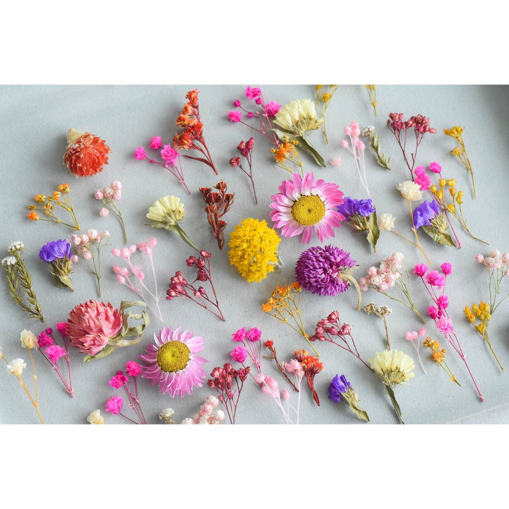 ซิลิก้าทรายสำหรับอบดอกไม้สดที่ใช้ในงานเรซิ่น-ดอกกุหลาบ-ดอกบัวให้แห้งแต่สียังสวย-สีสดไม่ทำลายสีดอกไม้ใช้ซ้ำได้-easyresin