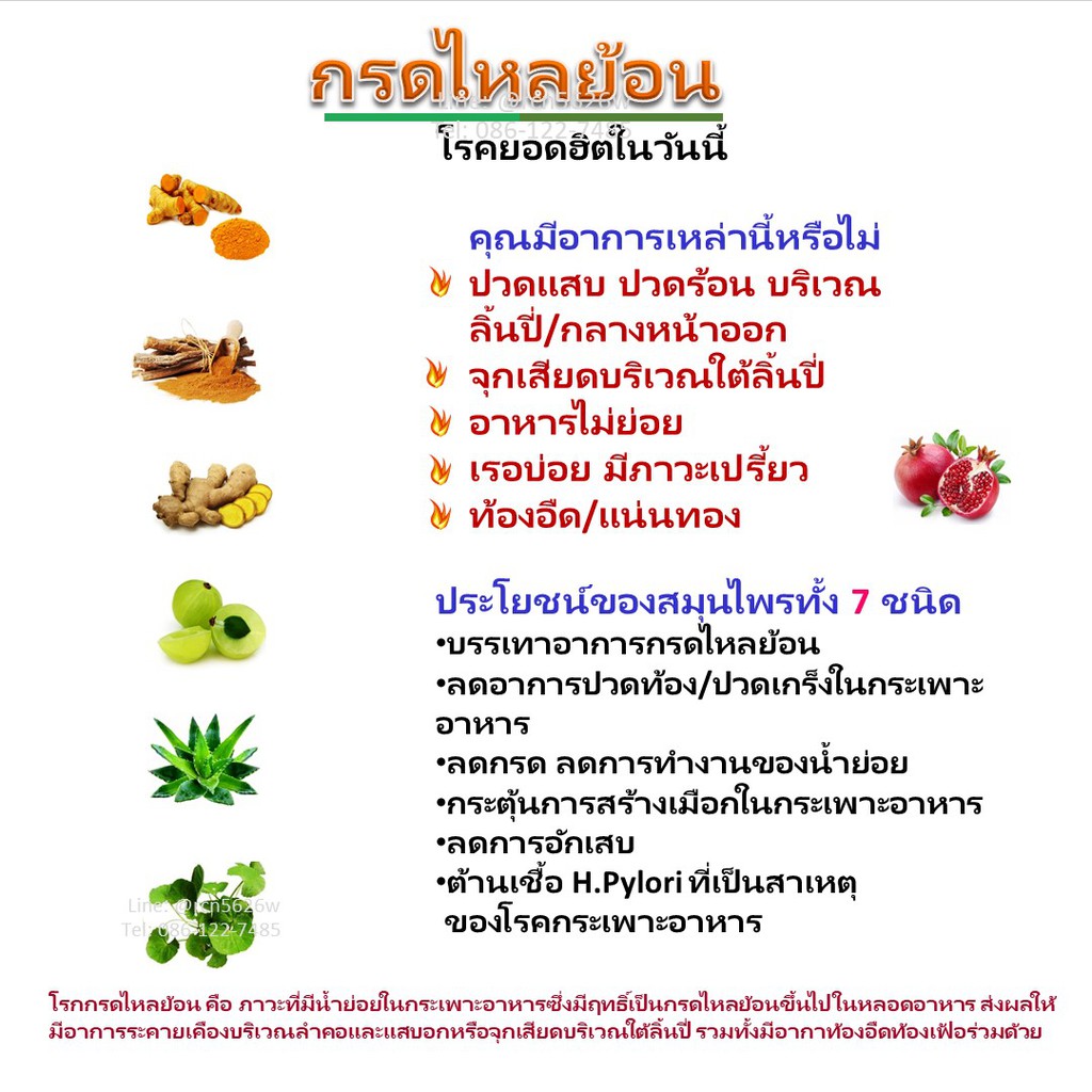 มีโปร-แกสตรา-เฮิร์บ-กิฟฟารีน-อาหารไม่ย่อย-gastra-herb-giffarine