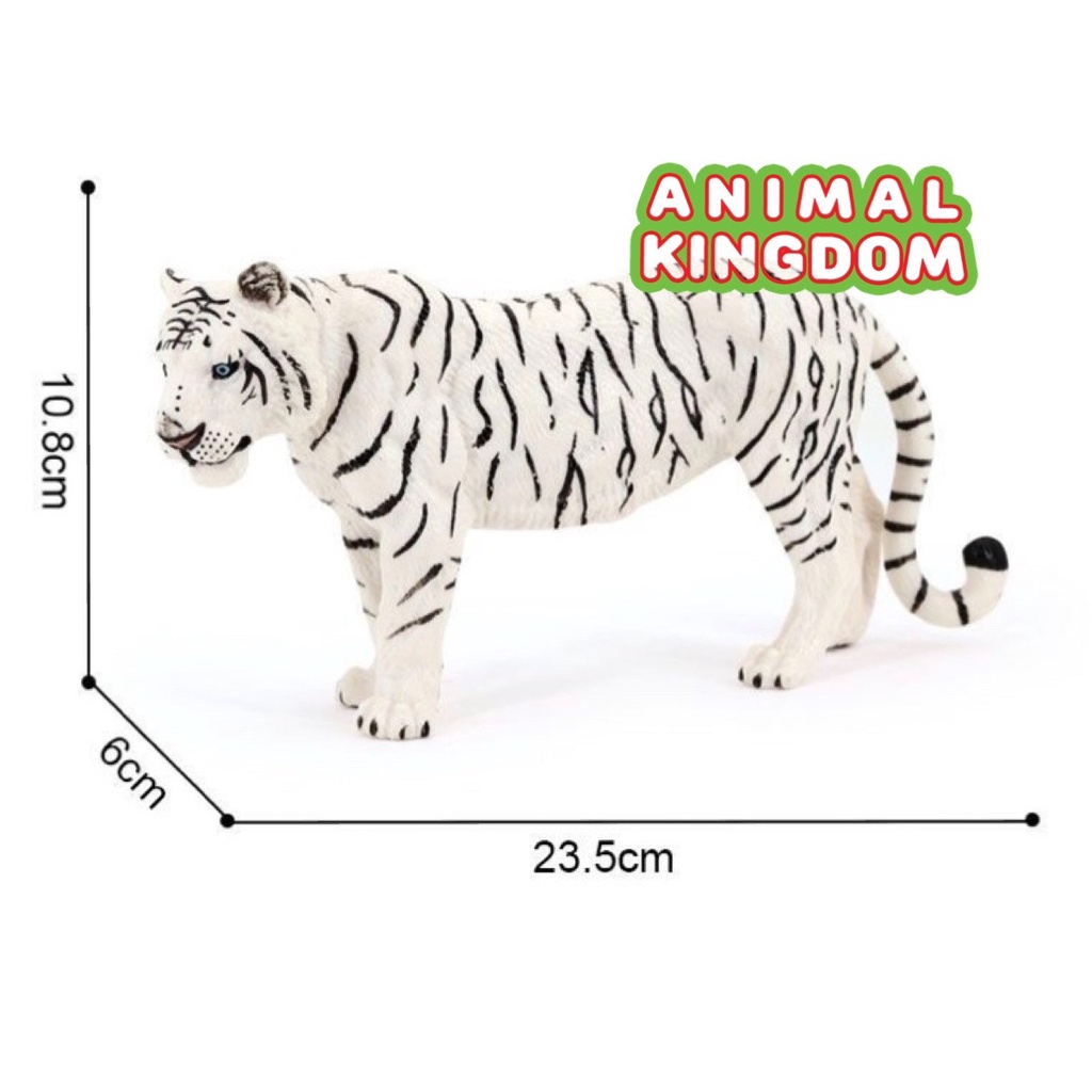 animal-kingdom-โมเดลสัตว์-เสือโคร่ง-เผือก-ขนาด-23-50-cm-จากหาดใหญ่