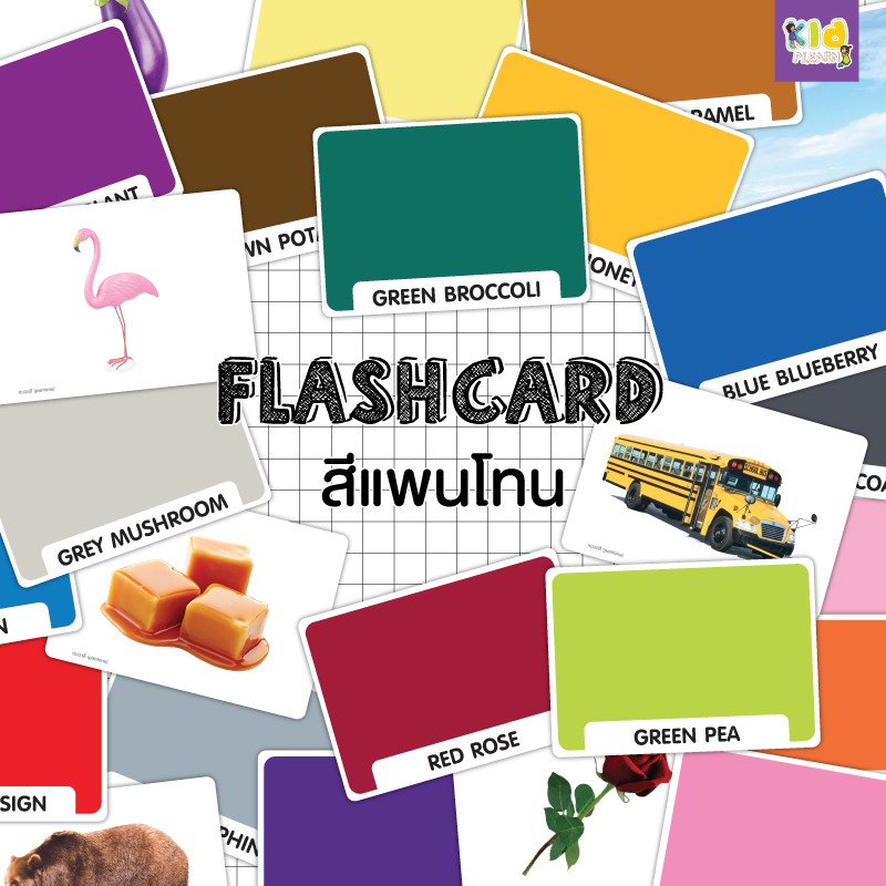 Flash card แพนโทน (Pantone) จำนวน 27 ใบ ขนาด A5 | Shopee Thailand