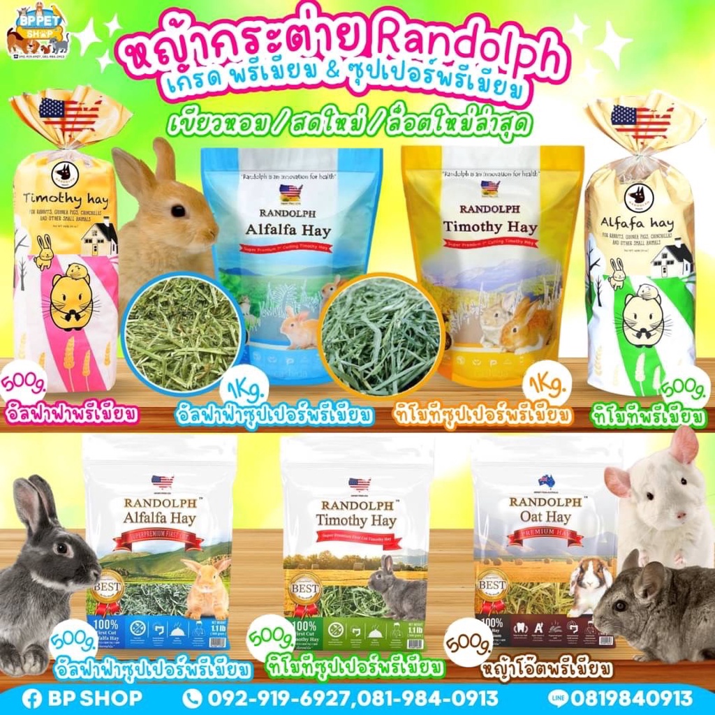 bp-pets-หญ้ากระต่าย-อาหารกระต่าย-randolph-timothy-hay-alfafa-hay-oat-hay-หญ้าอัลฟาฟ่า-หญ้าทิโมธี-หญ้าโอ๊ต-ขนาด-500g