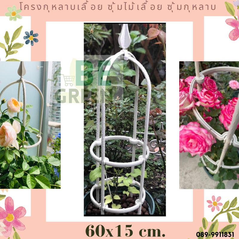 ซุ้มไม้เลื้อย-สีสวย-สูง60ซม-โครงไม้เลื้อย-ซุ้มกุหลาบ-ซุ้มกุหลาบเลื้อย-ทนทานโครงเหล็กไม้เลื้อย-โครงกุหลาบ-ซุ้มดอกไม้