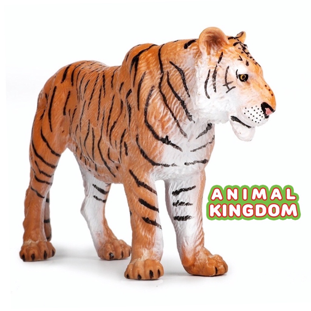 animal-kingdom-โมเดลสัตว์-เสือโคร่ง-ขนาด-23-50-cm-จากหาดใหญ่