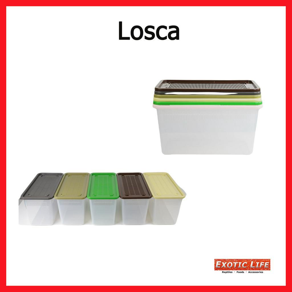 Locsa กล่องเลี้ยงสัตว์เลื้อยคานนำเข้าจากเกาหลีผลิตจากวัสดุอย่างดีมีช่อง ...