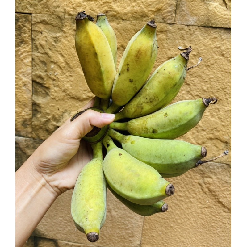 ภาพหน้าปกสินค้ากล้วยน้ำว้าปลอดสาร  สวนอาม่าอัมพวา   กล้วยน้ำว้าอัมพวา จากร้าน porpropai บน Shopee