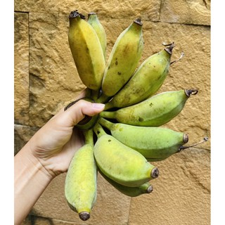 ภาพขนาดย่อของภาพหน้าปกสินค้ากล้วยน้ำว้าปลอดสาร  สวนอาม่าอัมพวา   กล้วยน้ำว้าอัมพวา จากร้าน porpropai บน Shopee