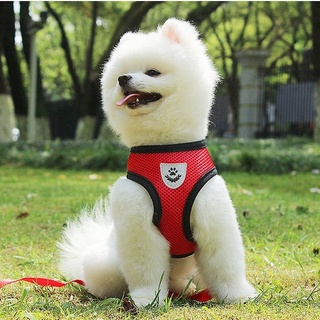 เสื้อสุนัข เสื้อแมว สายจูงสุนัขรัดอก S M L สายจูงสุนัข สำหรับสัตว์เลี้ยง Dog Vest