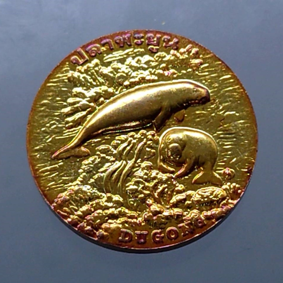เหรียญทองแดง-ที่ระลึก-ประจำจังหวัด-ตรัง-ขนาด-2-5-เซ็น