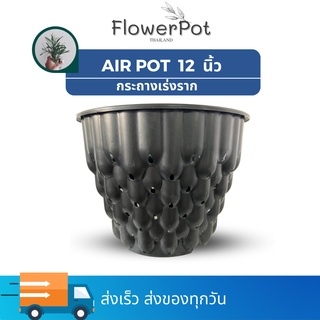 กระถางแอร์พอต Air Pot กระถางมีรู กระถางเร่งราก กระถางปลูกต้นไม้ กระถางปลูกกัญ สีดำ 12นิ้ว