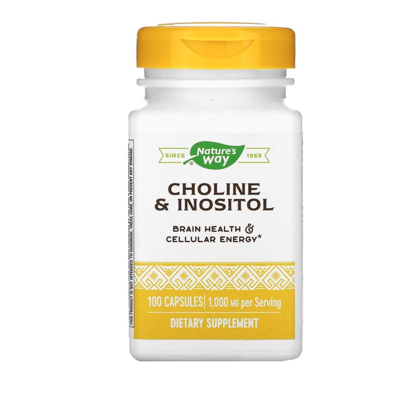 Nature's Way, Choline & Inositol 500 mg 100 Capules Shopee Thailand