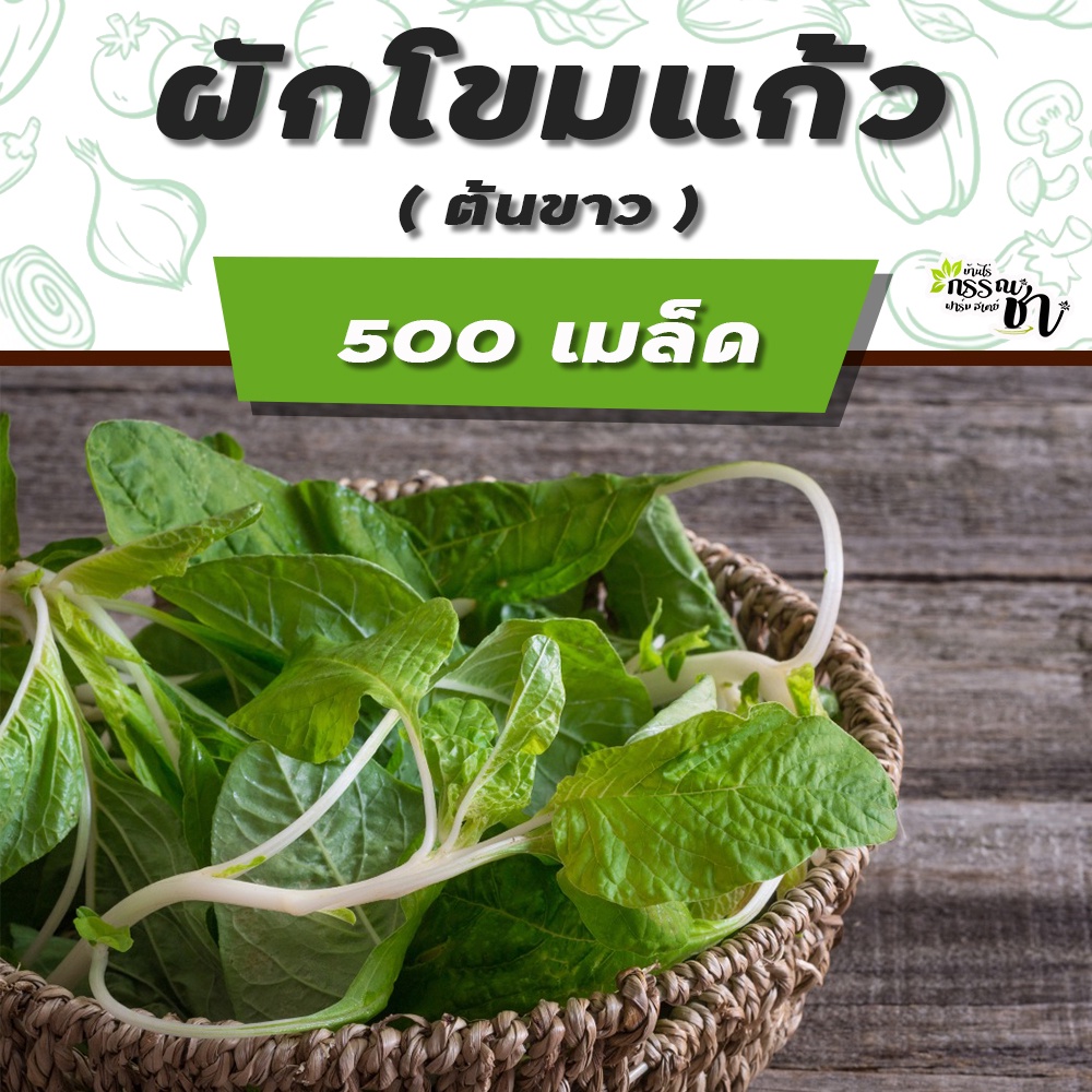 ผักโขม-เมล็ดพันธุ์-หลากหลายชนิด