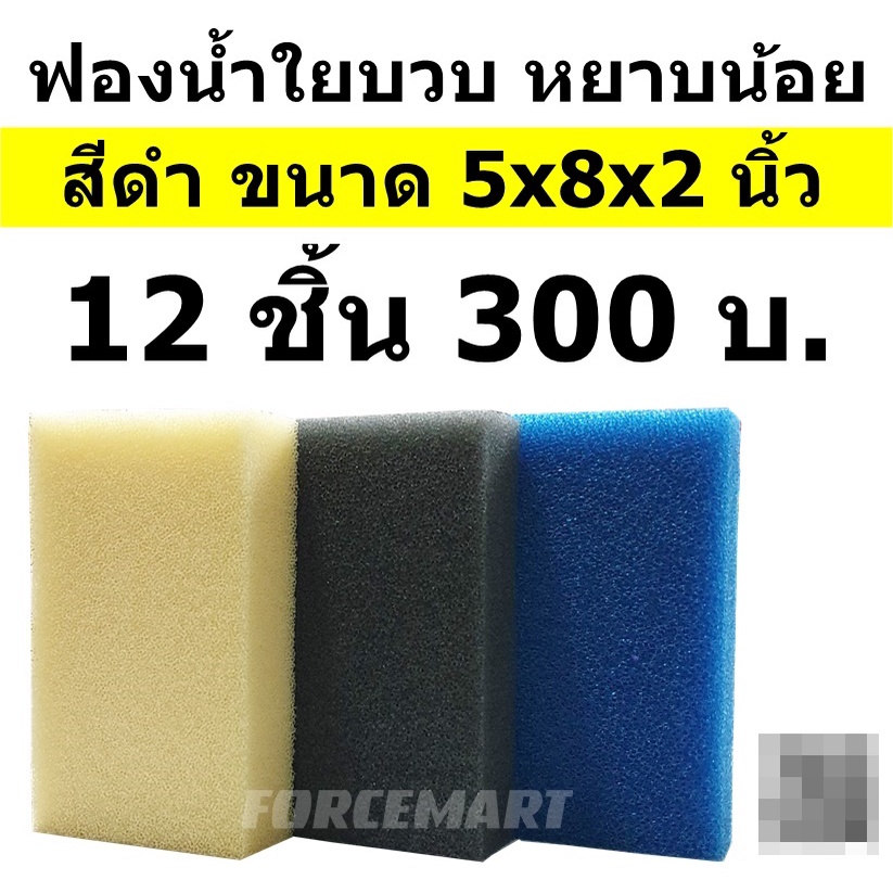 ภาพหน้าปกสินค้าฟองน้ำใยบวบล้างรถ ฟองน้ำล้างรถ สีดำ หยาบน้อย เนื้อแน่น ใช้ทน เกินคุ้ม