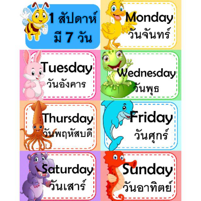 สื่อการสอน 1 สัปดาห์ มี 7 วัน | Shopee Thailand