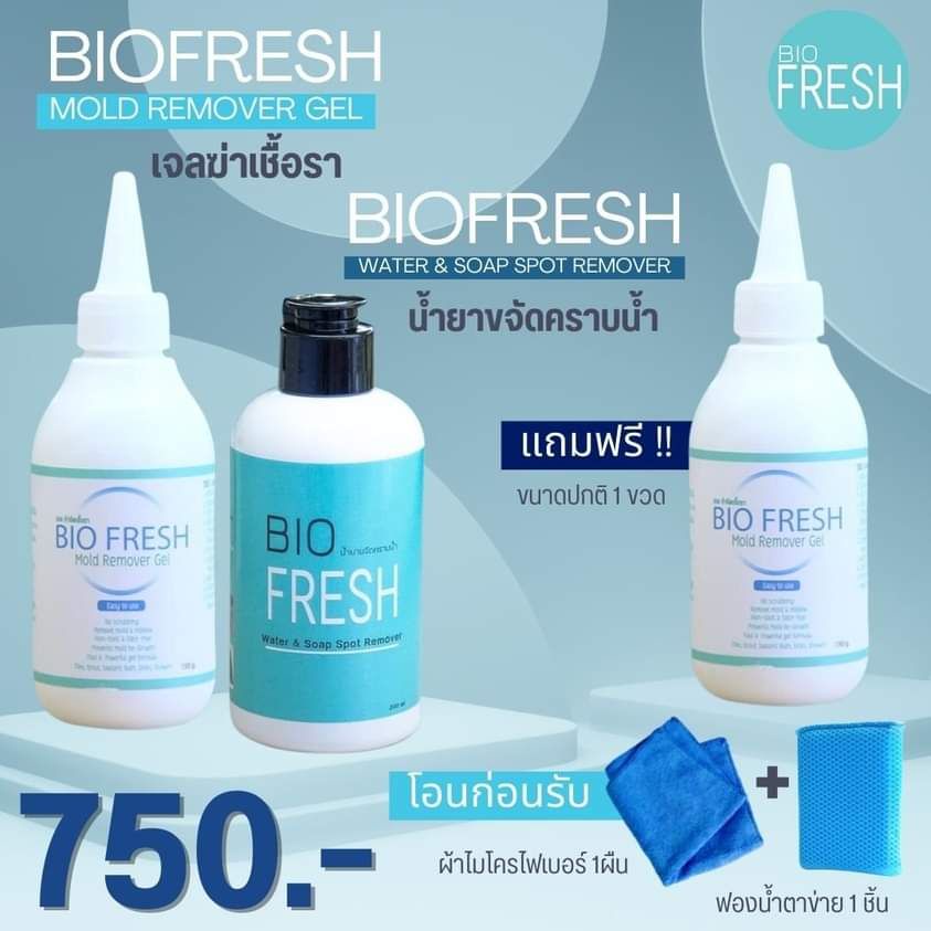 biofresh-set-2-เจลกำจัดเชื้อรา-เชื้อราในห้องน้ำ-ร่องยาแนว-1-แถม-1-น้ำยาขจัดคราบน้ำ-1-ขวด-ก๊อกน้ำ-กระจก-สแตนเลส