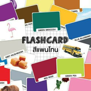 แฟลชการ์ดสีแพนโทน แผ่นใหญ่ Flash Card Pantone KP036