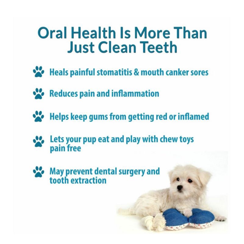 แบ่งขาย-สุนัข-oral-health-สุนัขมีกลิ่นปาก-หมาเหงือกอักเสบ-หมาปวดฟัน