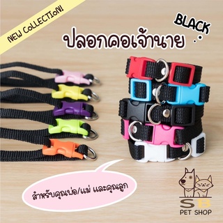 ภาพหน้าปกสินค้าปลอกคอแมว ปลอกคอลูกแมว แมวเด็ก มี 2 ไซส์ สีสันสดใส พร้อมส่งในไทยค่า (Black Collection) ที่เกี่ยวข้อง