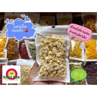 สินค้า แอปเปิ้ลอบแห้ง Dried Apple 🍎 ผลไม้เสริมวิตามินสำหรับสัตว์เล็ก ขนาด 20 g.