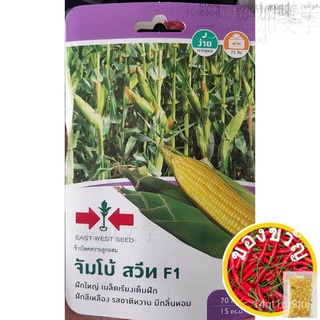 เมล็ดพันธุ์ข้าวโพด Red Arrow ข้าวโพดหวานเมล็ดลูกผสมหมดอายุ04/04/2566 (ข้าวโพดหวานเมล็ด) Jumbo Sweet F1เมล็ดเมล็ดประกอบด้