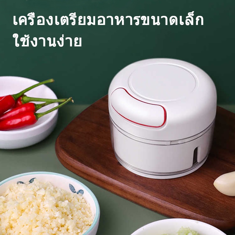 เครื่องปั่นกระเทียม-เครื่องบดกระเทียม-ห้องครัว-ปั่นละเอียด-ประหยัดไฟ-ที่บดกระเทียมไฟฟ้า-ที่ปั่นพริก