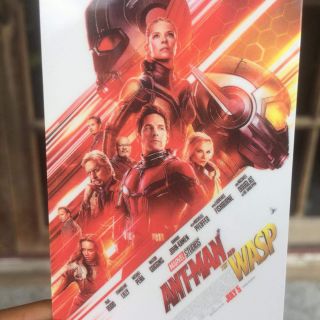 สินค้า บัตรแข็งสะสม การ์ด บัตรสะสม antman marvel avengers