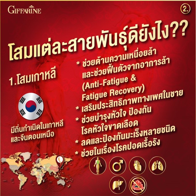 มีโปร-มีโปร-ทรีจี-จินเส็ง-จินเซ็ง-กิฟฟารีน-สกัดจากโสมแดงเกาหลี-3g-ginseng-giffarine-ส่งฟรี