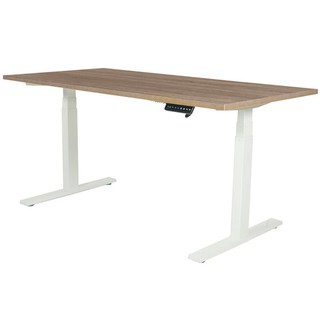 Desk STANDING DESK ERGOTREND SIT 2 STAND GEN2 180CM SONOMA/WHITE Office furniture Home &amp; Furniture โต๊ะทำงาน โต๊ะทำงานปร