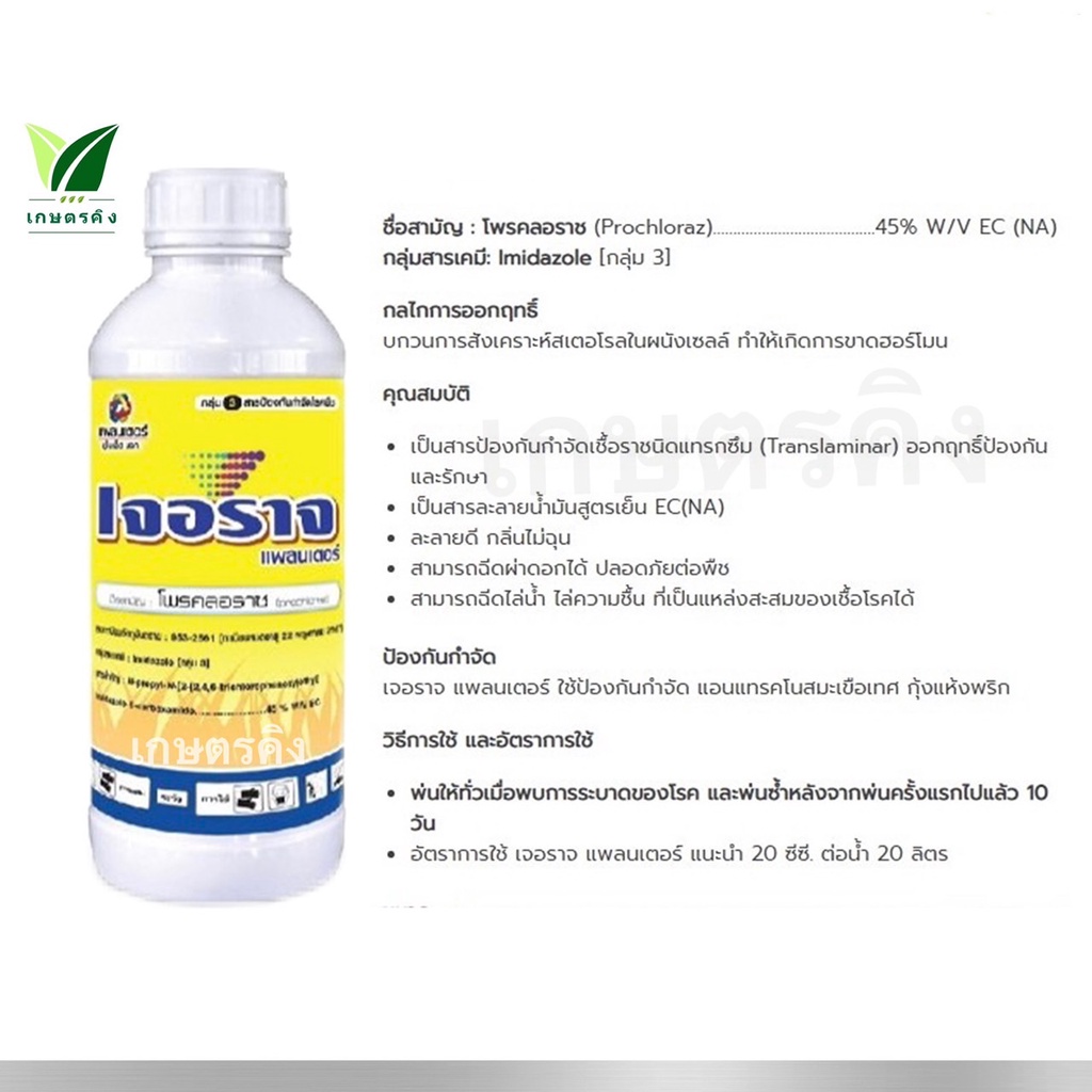 เจอราจ ขนาด 100 ซีซี. โพรคลอราช (prochloraz) 45% EC ป้องกันกำจัดเชื้อรา ...