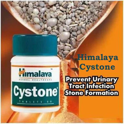 สมุนไพรป้องกันนิ่ว-ลดการสะสมนิ่วในไต-สลายนิ่ว-himalaya-cystone-tablet-60เม็ด