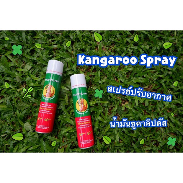 eucalyptus-จิงโจ้-kangaroo-brand