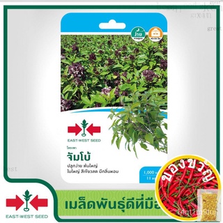 East-West Seed เมล็ดพันธุ์โหระพา (Sweet Basil seeds) จัมโบ้ เมล็ดพันธุ์ผัก เมล็ดพันธุ์ ผักสวนครัว ตราศรแดงCosmosRoseWhit