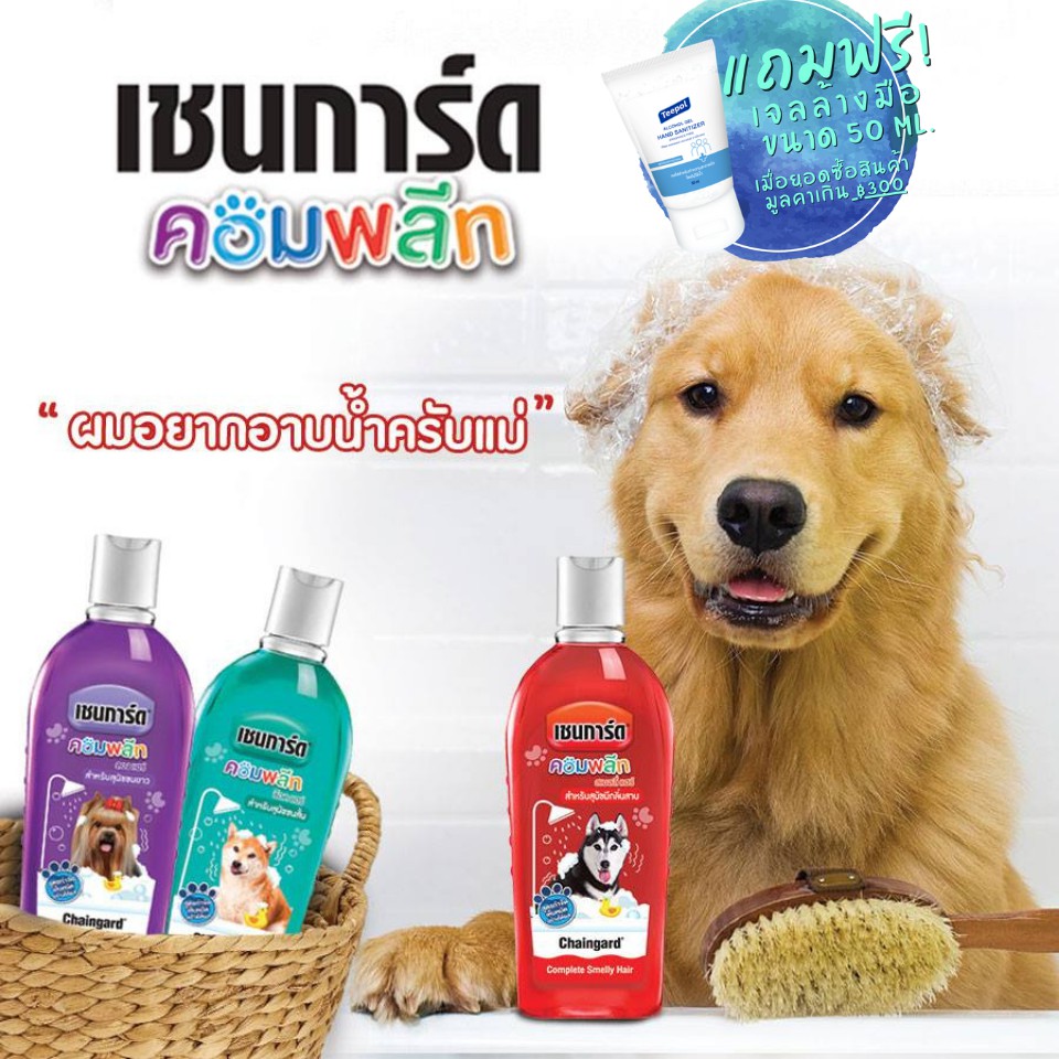 ภาพหน้าปกสินค้าChaingard Complete แชมพูสุนัข แชมพูกำจัดเห็บ หมัด เห็บหมัด Dog Shampoo แชมพูหมา ขนาด300ml maydaygadget จากร้าน maydaygadget บน Shopee