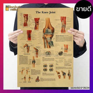 ระบบ ข้อเข่า Knee Joint anatomy ภาพโปสเตอร์ ร่างกายมนุษย์ กระดาษคราฟท์ สไตล์วินเทจ เพื่อการศึกษาเรียนรู้ ตกแต่งบ้าน