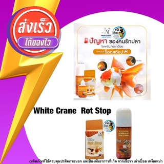 White Crane  Rot Stop (ผลิตภัณฑ์ใช้ควบคุมปรสิตภายนอก และป้องกันอาการที่เกิด จากเชื้อรา เน่าเปื่อย เหงือกเน่า