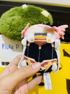 Fate/Apocrypha - Astolfo - Plush Mascot | Shopee Thailand