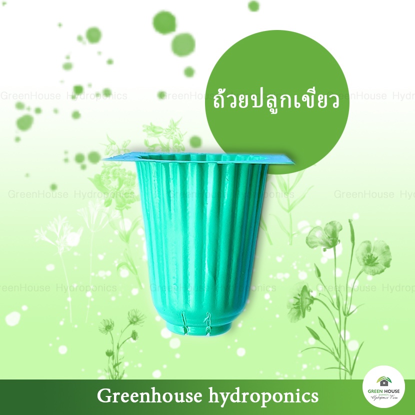ภาพสินค้าถ้วยปลูกผักไฮโดรโปนิกส์ สีเขียว 1 แผ่น มี 80 หลุมปลูก จากร้าน greenhousehydroponics บน Shopee ภาพที่ 1