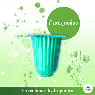 ภาพขนาดย่อของภาพหน้าปกสินค้าถ้วยปลูกผักไฮโดรโปนิกส์ สีเขียว 1 แผ่น มี 80 หลุมปลูก จากร้าน greenhousehydroponics บน Shopee ภาพที่ 1