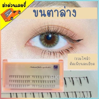 ภาพหน้าปกสินค้า(ส่งด่วนเคอรี่) ขนตาล่าง ขนตาปลอมล่าง ที่เกี่ยวข้อง