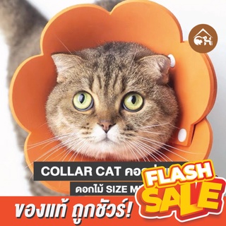 🔥ถูกสุด! พร้อมส่ง🔥Collar Cat Size MINI คอลล่าแมว คอลล่าดอกไม้ ปลอกคอกันเลีย คอลล่ากันเลีย