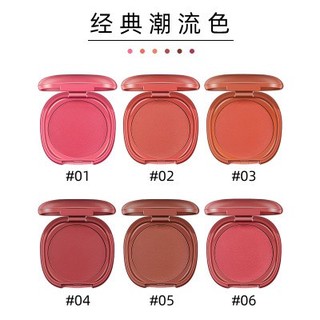 S.F.R. Color Le blush บลัชออนแต่งแก้ม 5 มิติ