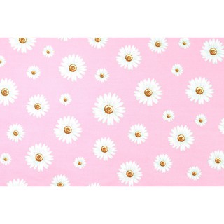[SALE] 45x55 ซม. ผ้าเมตร ผ้าคอตตอน ผ้าฝ้ายแท้ 100% ลายดอกไม้ ดอกเดซี่สีขาว บนพื้นสีชมพูอ่อน [PFQ520]