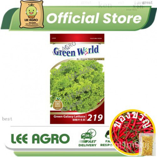gw219-salad-hijau-biji-benih-sayur-500-seeds-green-galaxy-lettuce-vegetable-seed-green-world-219-gw219-gw-สีเขียว