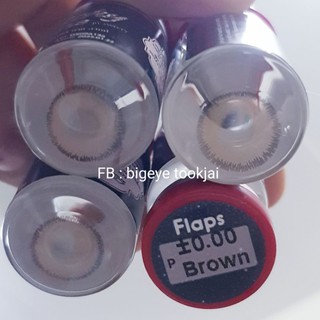 💟 Pitchylens Flaps brown gray Contactlens บิ๊กอาย คอนแทคเลนส์ ราคาถูก แถมตลับฟรี