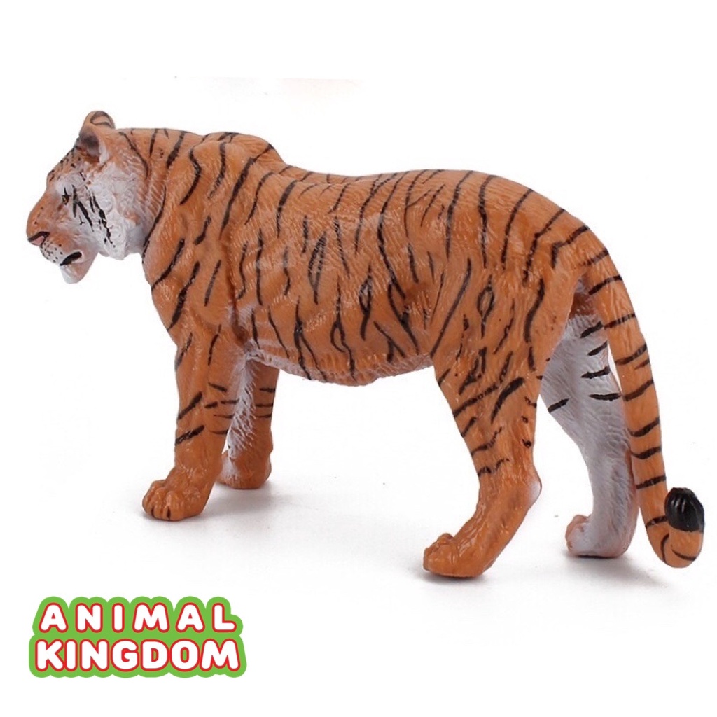 animal-kingdom-โมเดลสัตว์-เสือโคร่ง-ขนาด-23-50-cm-จากหาดใหญ่