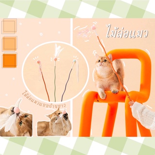 🐾พร้อมส่ง🐾 ไม้ล่อแมวรุ่นพิเศษ แบบก้านยาว ของเล่นสำหรับสัตว์เลี้ยง ไม้ตกแมว ไม้ล่อแมว มีบริการเก็บเงินปลาย