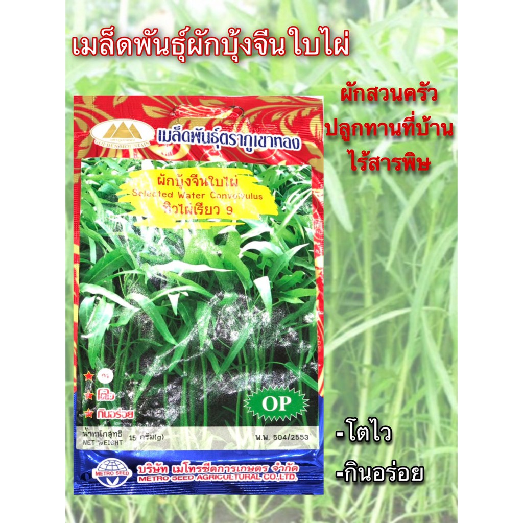 เมล็ดพันธุ์ผักบุ้งจีน-ตราภูเขาทอง