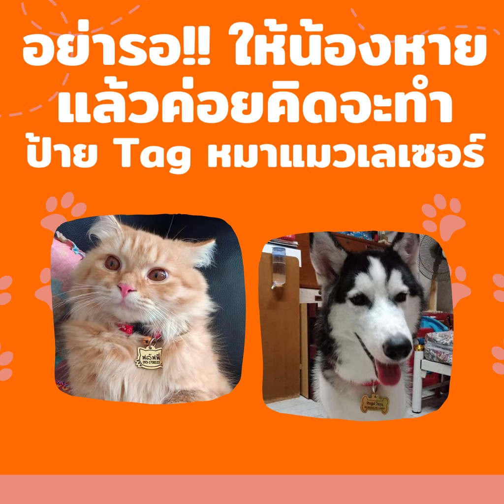 pet-tag-อะคริลิค-รายได้ให้แมวจร-อคิลิก-ป้ายชื่อน้องแมว-น้องหมาราคาถูก